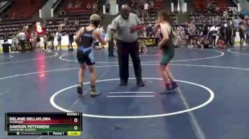 112 lbs Round 1 - Dawson Pettigrew, Galesburg-Augusta vs Delanie DellaFlora, Mcgregor