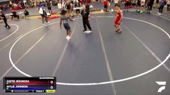 138 lbs Quarterfinal - Justis Jesuroga, IA vs Wylie Johnson, IA