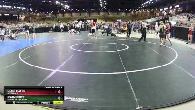 170 lbs Cons. Round 3 - Ryan Price, ST VINCENT-ST MARY vs Cole Hayes, Riverdale