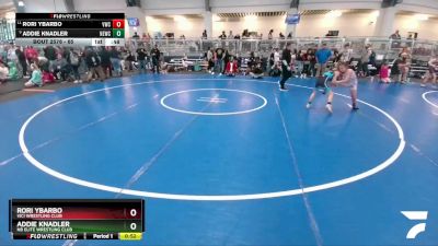 65 lbs Cons. Semi - Addie Knadler, NB Elite Wrestling Club vs Rori Ybarbo, Vici Wrestling Club