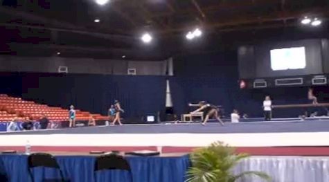 Stars (Ericha Fassbender) - double arabian