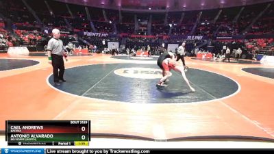 3A 145 lbs Quarterfinal - Antonio Alvarado, Belvidere (North) vs Cael Andrews, Batavia