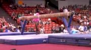 EXCALIBUR (Gabrielle Douglas) - 14.65