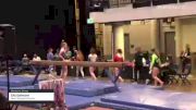 Ella Dallmann - Women's Group, North Shore Gymnastics - 2021 Women's Xcel Region 4 Championships