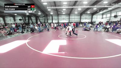 132 lbs Round 4 (8 Team) - Aydin Bjarnson, North Sanpete vs Tor Cylvick, North Summit