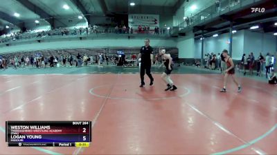 85-85 lbs Round 3 - Weston Williams, Thoroughbred Wrestling Academy (TWA) vs Logan Young, Missouri