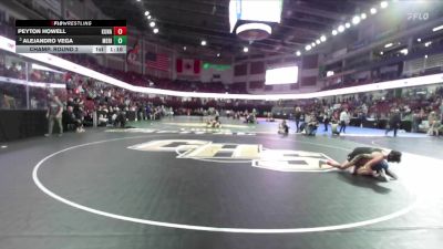 113 lbs Champ. Round 2 - Alejandro Vega, Meridian vs Peyton Howell, Kuna