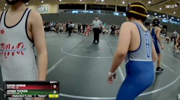 110 lbs Round 1 - Knox Lewis, Cali Red vs Graham Barber, New Kent WC