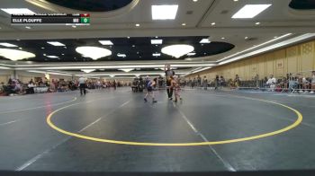 52 lbs Consolation - True Liam Valez Cormier, Team Aggression vs Elle Plouffe, Mid Valley Wolves Wr Ac