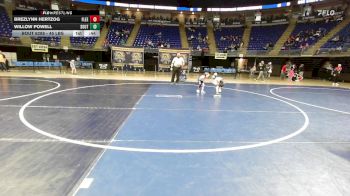 45 lbs Semifinal - Brezlynn Hertzog, Fleetwood vs Willow Powell, South Fayette