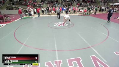 190 lbs Semifinal - Noah Terry, Tell City vs Lane Peachee, Washington