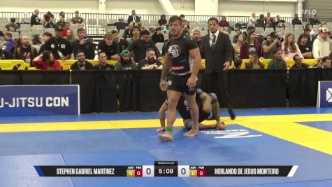 Horlando De Jesus Monteiro vs Stephen Gabriel Martinez 2025 World IBJJF Jiu-Jitsu No-Gi Championship