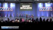 Dance Dynamics - Youth Elite Large Pom [2026 Youth - Premier - Pom - Large] 2026 NDA All-Star National Championship