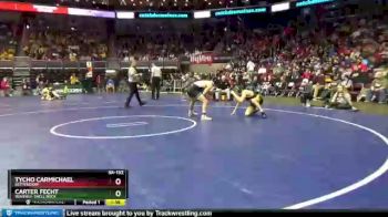 3 lbs Quarterfinal - Carter Fecht, Waverly-Shell Rock vs Tycho Carmichael, Bettendorf