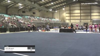 Aria Brusch - Floor, Cincinnati Gym - 2019 Buckeye Classic