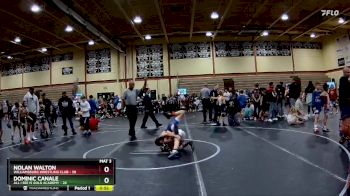 68 lbs Cons. Round 3 - Dominic Canale, All I See Is Gold Academy vs Nolan Walton, Williamsburg Wrestling Club