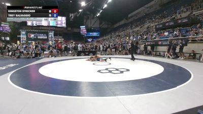 138 lbs Champ. Rd Of 128 - Kingston Stricker, Michigan vs Trey Salvaggio, Pennsylvania
