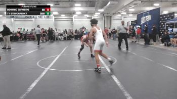 120 lbs Round 6 (10 Team) - Ty Strychalsky, Savage WA White vs Dominic Esposito, Maryland Mallets