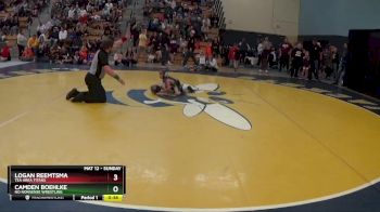 40 lbs Semifinal - Logan Reemtsma, Tea Area Titans vs Camden Boehlke, No Nonsense Wrestling