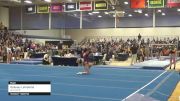 Delaney LaViolette - Floor, Springfield - 2022 NCGA Championships