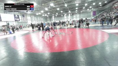 138 lbs Cons. Round 2 - Jamie Le, Washington vs Sully DeHan, Reality Sports Wrestling Club