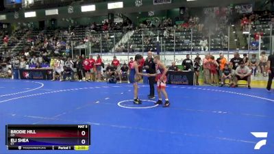 87 lbs Cons. Round 3 - Brodie Hill, CO vs Eli Shea, CT