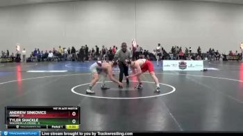 141 lbs Placement Matches (16 Team) - Andrew Sinkovics, Wabash vs Tyler Shackle, Wisconsin-La Crosse