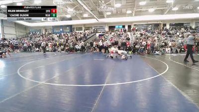 157 lbs Cons. Semi - Cache Olson, Westlake vs Rilen Brindley, Spanish Fork