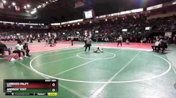 55 lbs Cons. Semi - Andrew Yost, CPWA vs Lorenzo Palfy, NBHA