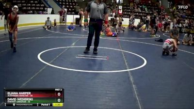 78 lbs Round 2 - David Wesierski, Harvest Christian vs Eliana Harper, Alexander Hamilton