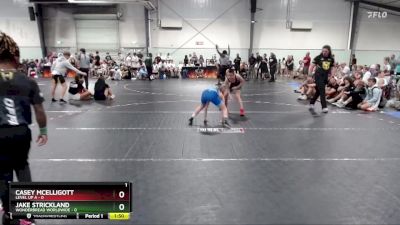 106 lbs Semis (4 Team) - Jake Strickland, WonderBread Worldwide vs Casey McElligott, Level Up A