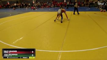 102 lbs Semis (4 Team) - Colt Bouwman, Minneota vs Riley Kraemer, Rocori