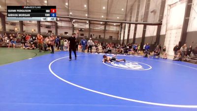 U14 FK - 132 lbs Cons. Semis - Quinn Ferguson, Hillsboro Mat Club vs Gibson Morgan, Twin City Wrestling Club