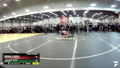 92 lbs Champ. Round 1 - Colson Liles, New Kent vs Brodie O`Keefe, Virginia Team Predators