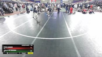 132 lbs Quarterfinal - Kale Petersen, IA vs Tye Linser, IN