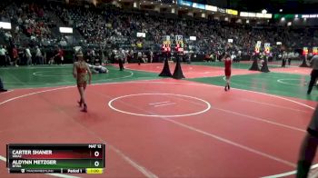 98 lbs Cons. Round 3 - Aldynn Metzger, BTWA vs Carter Shaner, WKA2