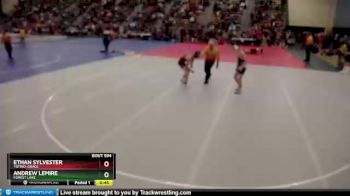 132 lbs Cons. Round 3 - Ethan Sylvester, Totino-Grace vs Andrew LeMire, Forest Lake