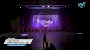 The Dance Vault - Mini Elite Small Jazz [2025 Mini - Jazz - Small Day 2] 2025 Power Dance Grand Nationals