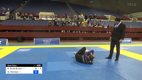 Katherine Anne Brown vs Wendy Mendez 2024 Pan IBJJF Jiu-Jitsu No-Gi Championship