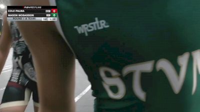 98 lbs Round 1 (8 Team) - Cole Palma, St Vincent St Mary vs Mason Mobasseri, West Geauga Wolverines