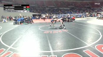6A Boys 138 lbs Cons. Round 2 - Kai Mitchell, Westview Boys vs Alex Cherry, Sherwood Boys