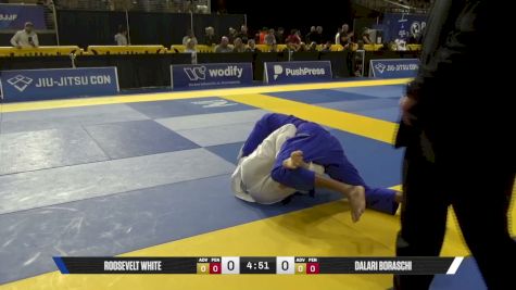 Dalari Boraschi vs Roosevelt White 2026 Pan Jiu Jitsu IBJJF Championship