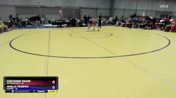 120 lbs Semis & 3rd Wb (16 Team) - Cheyenne Frank, Michigan Blue vs Amelia Murphy, Indiana