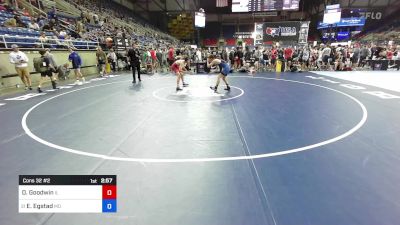 113 lbs Cons 32 #2 - Daniel Goodwin, IL vs Erik Egstad, MO