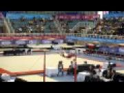 Alex Buscaglia (USA)  Pan Ams 2010 High Bar Finals - GOLD