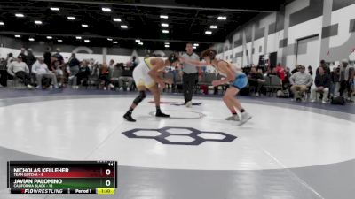 139 lbs Round 3 - Nicholas Kelleher, Team Gotcha vs Javian Palomino, California Black