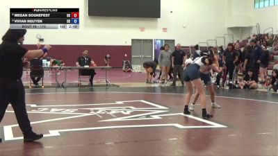 110 lbs Semifinal - Vivian Nguyen, Cerritos College vs Megan Sognefest, Cerritos College