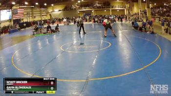 190 lbs Quarterfinal - Gavin Blondeaux, Green Valley vs Wyatt Bricker, Liberty