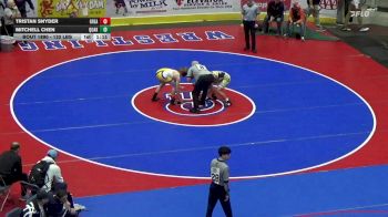 132 lbs Semifinal - Tristan Snyder, Greater Latrobe vs Mitchell Chen, Quakertown