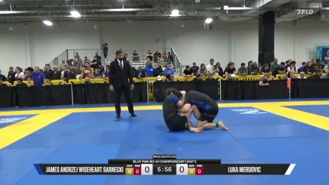Luka Merdovic vs James Andrzej Wiseheart Sarnecki 2026 Pan IBJJF Jiu-Jitsu No-Gi Championship